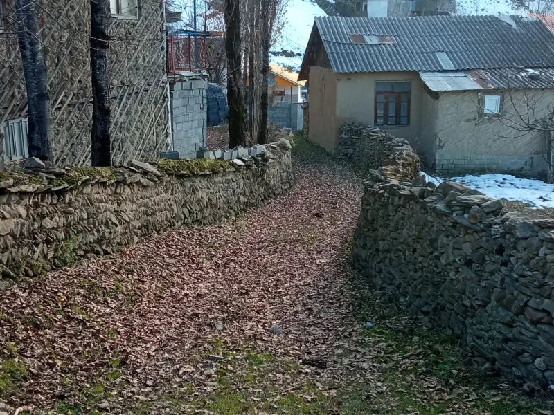 روستای شالینگچال - تصویر 6