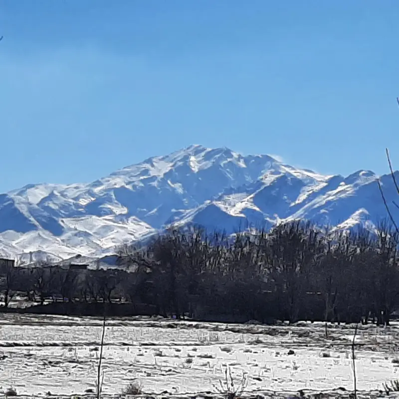کوه بل - تصویر 7