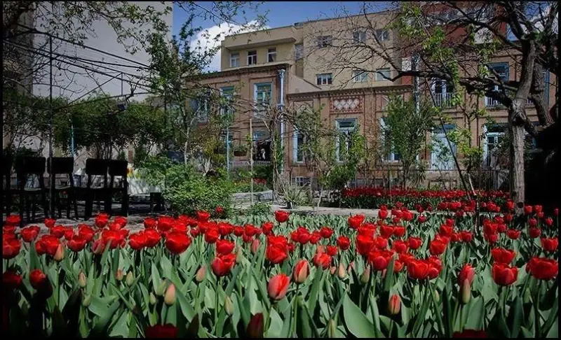 خانه لاله‌ای - تصویر 2