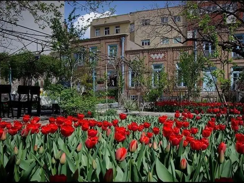 خانه لاله‌ای - تصویر 2