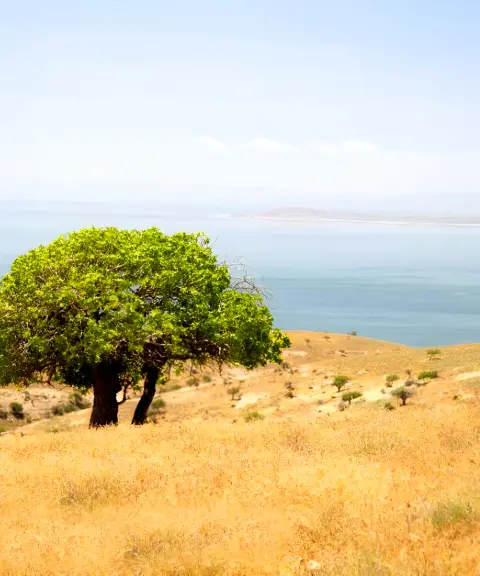 جزیره اشک، آذربایجان غربی