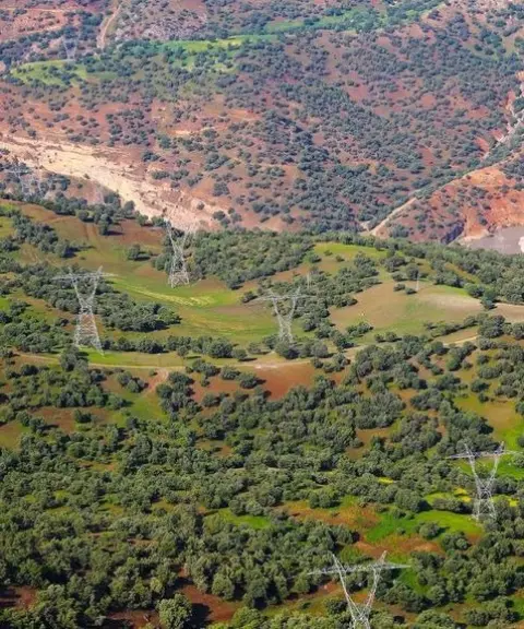 جنگل بناب ارسنجان، فارس