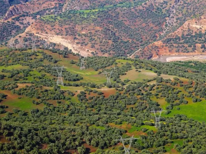جنگل بناب ارسنجان