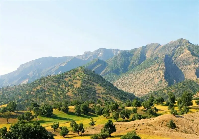 جنگل اندبیل - تصویر 5