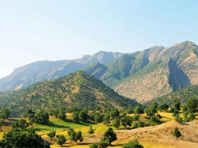 جنگل اندبیل - تصویر 5