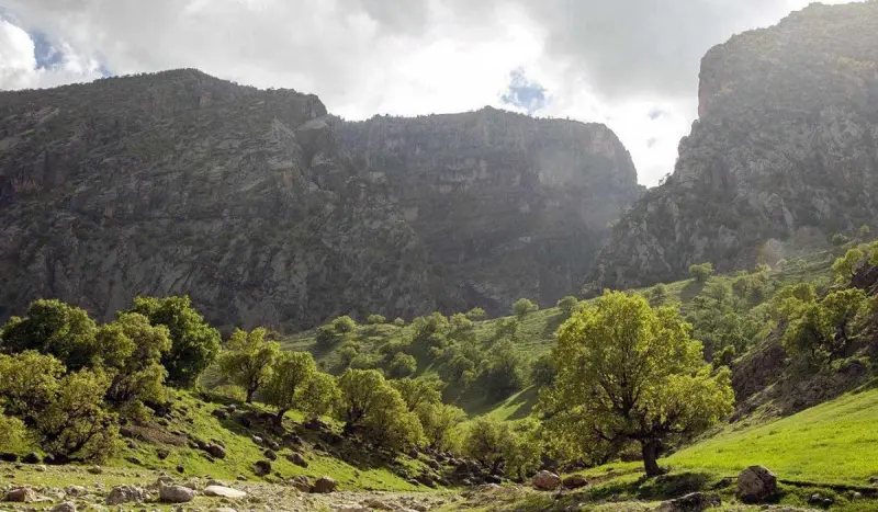 قله کان صیفی - تصویر 2