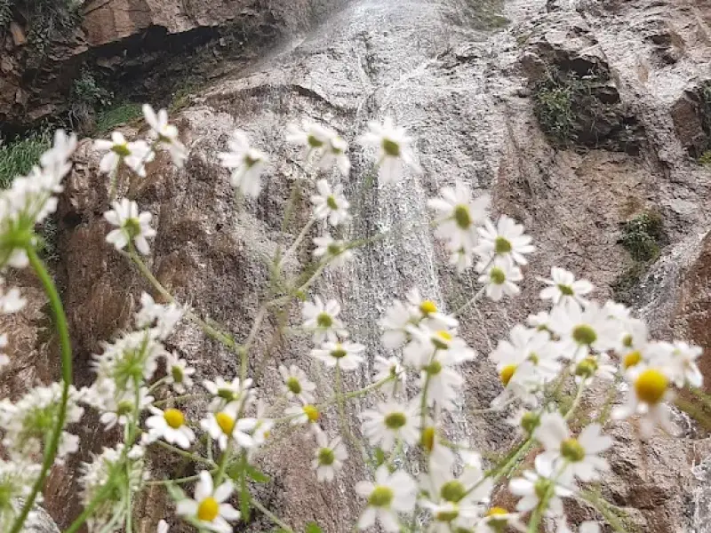 آبشار گلوسنگ - تصویر 5
