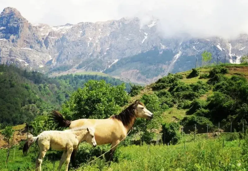 روستای برنت - تصویر 2