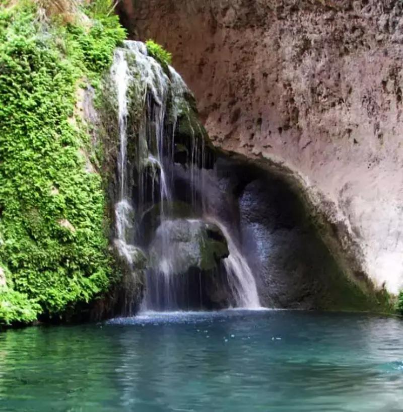 تنگ دم اسب - تصویر 1