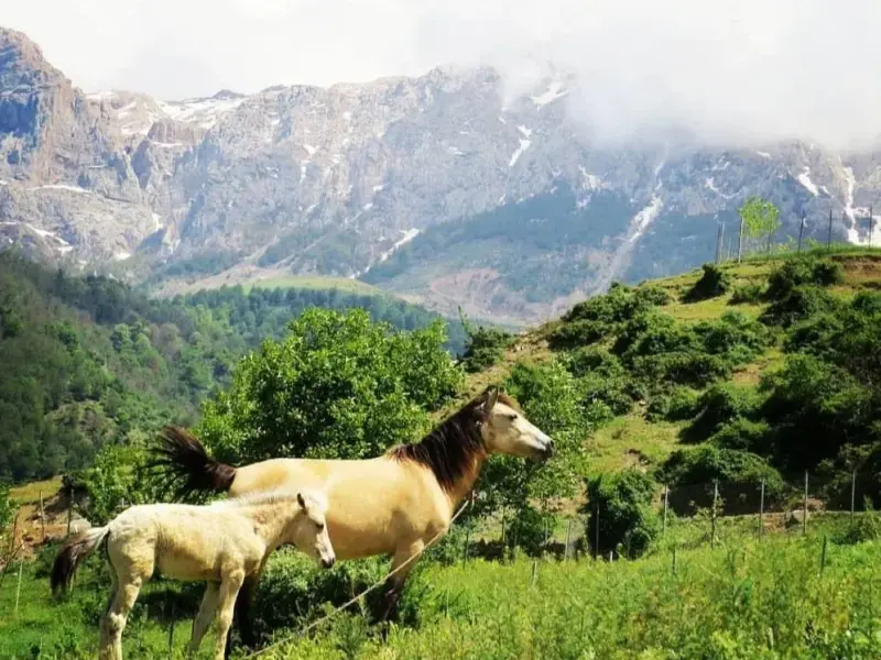 روستای برنت - تصویر 2