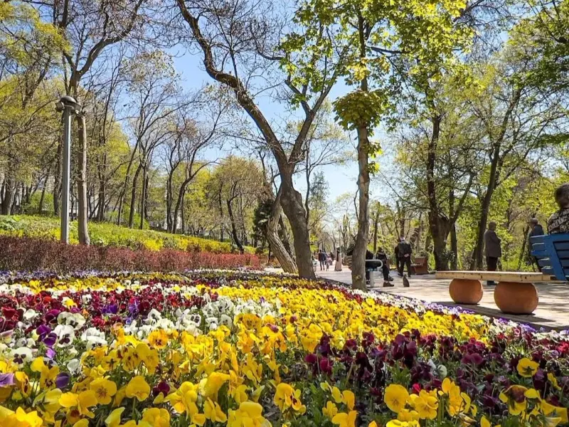 پارک قیطریه - تصویر 9