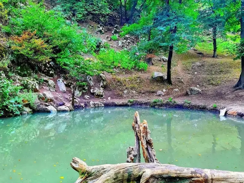چشمه لال