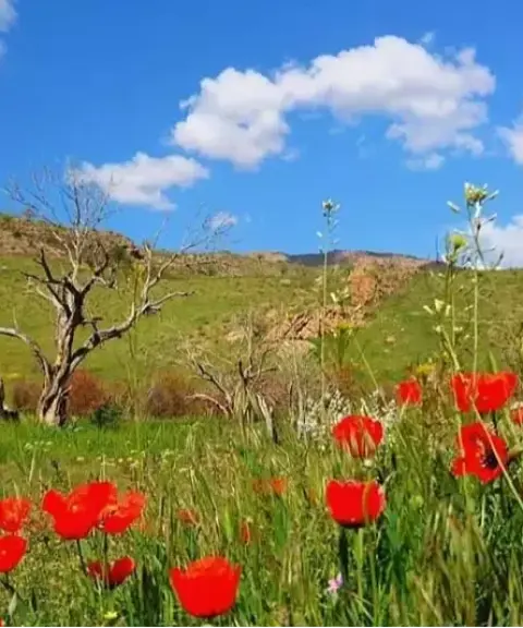 منطقه محافظت شده جاجرود، تهران