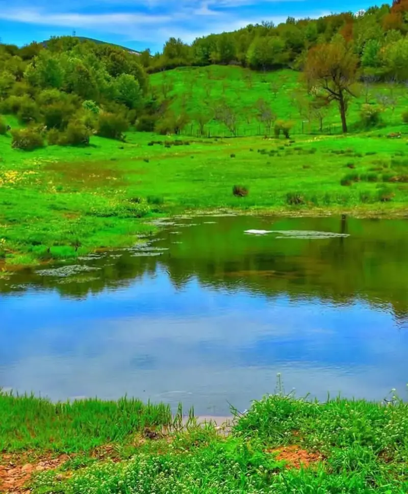 روستای داماش - تصویر 2