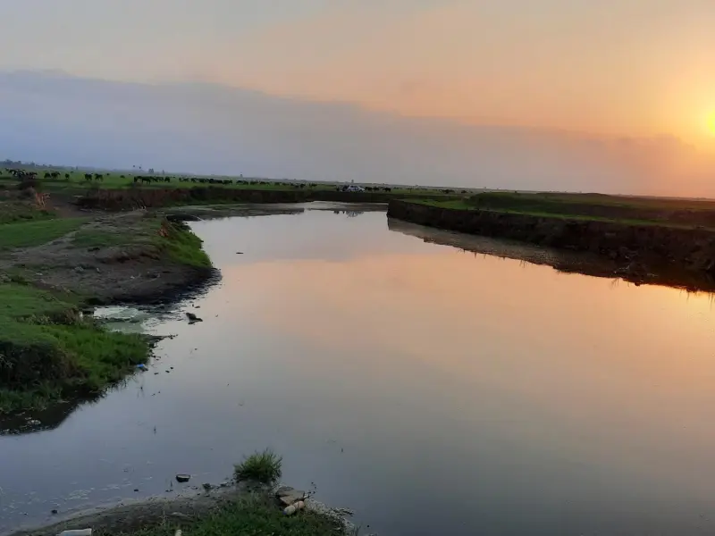 منطقه حفاظت شده گاز گیشه - تصویر 5
