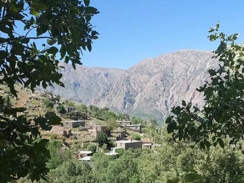 روستای کلجی - تصویر 1