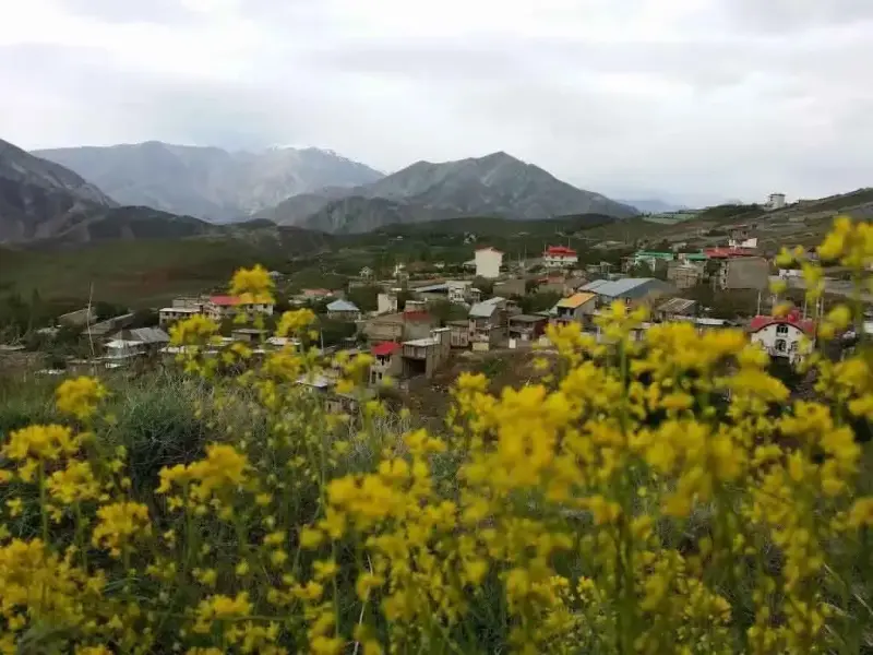 روستای افجه