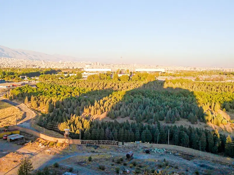 پارک جنگلی خرگوش دره