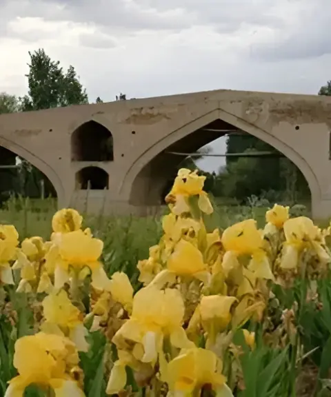 پل میر بهاءالدین، زنجان
