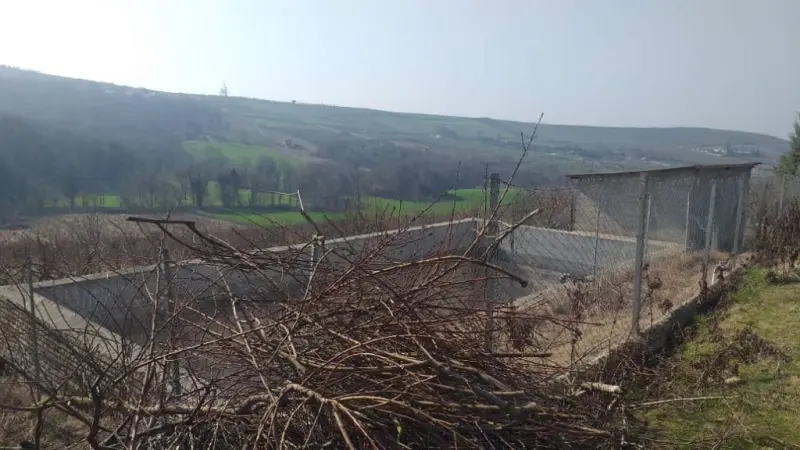 روستای کیاپی - تصویر 1