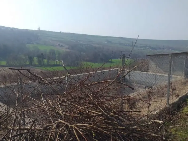 روستای کیاپی - تصویر 1