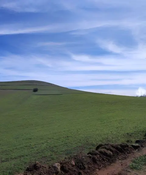 دشت سیلاخور، لرستان