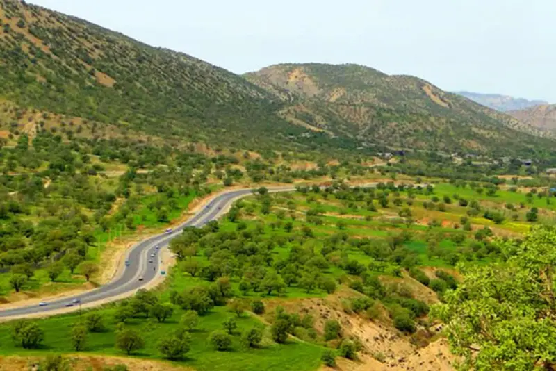 تفرجگاه جنگلی ششدار - تصویر 3