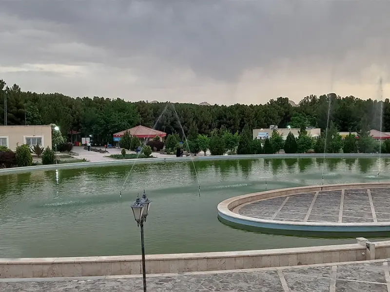 جنگل پردیسان قائم - تصویر 4