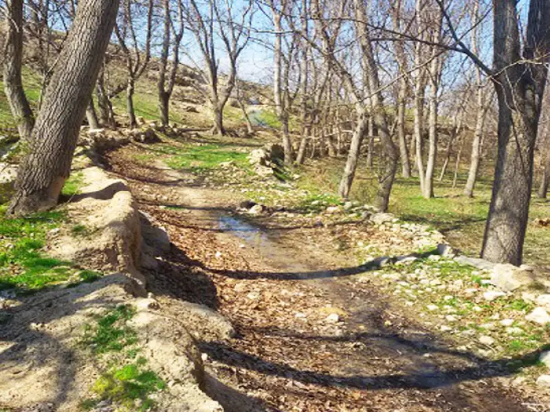 روستای چورس - تصویر 7