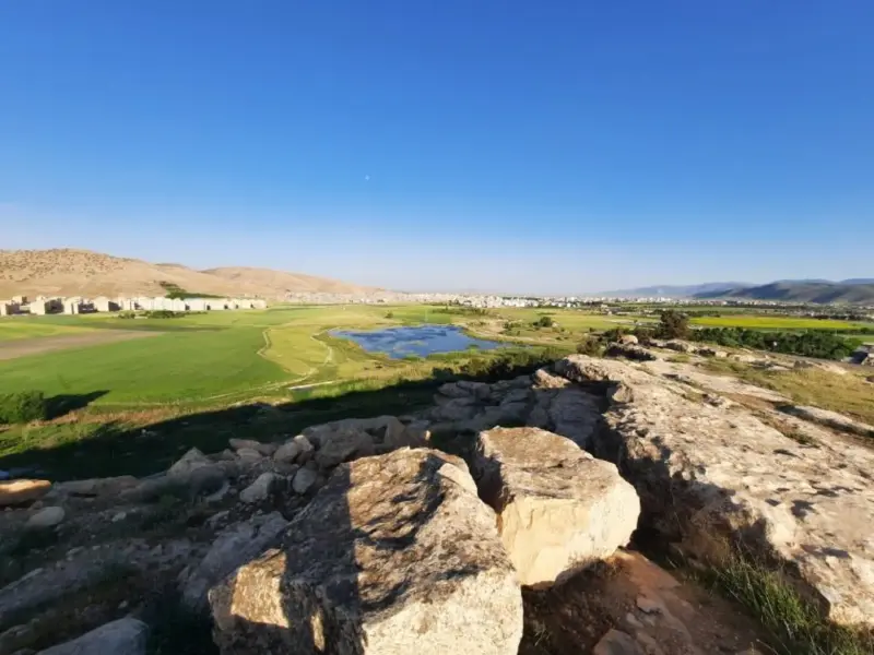 ناوتنگ منصوری - تصویر 2