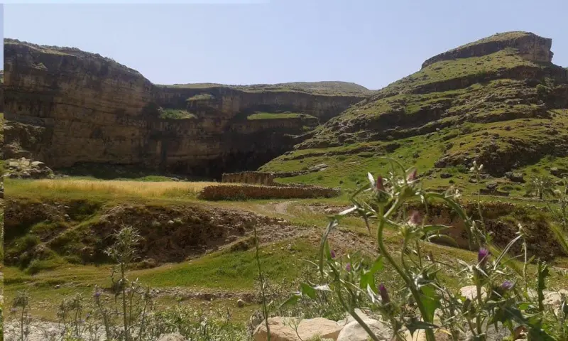 دره شنگستان - تصویر 4