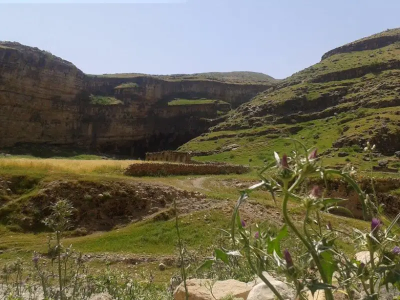 دره شنگستان - تصویر 4