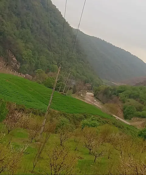 پارک جنگلی گالیکش، گلستان