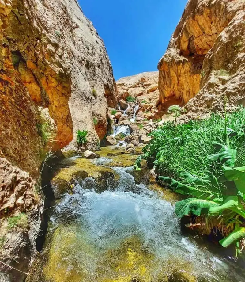 تنگه میشینه مرگ - تصویر 9
