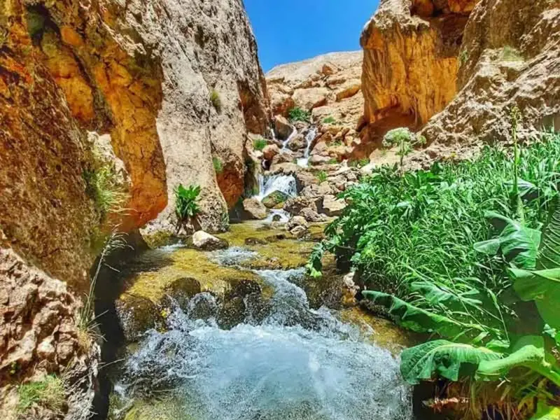 تنگه میشینه مرگ - تصویر 9