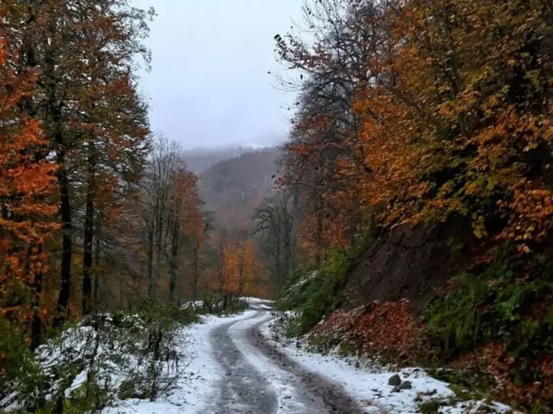 روستای لاویج - تصویر 4