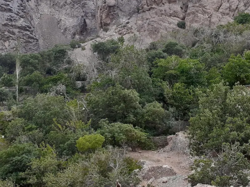 آبشار گیوک - تصویر 3