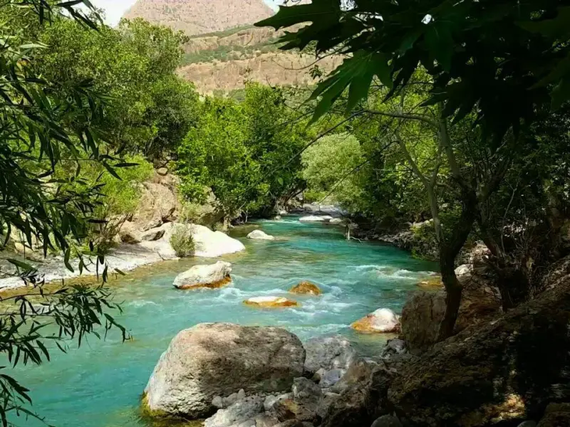 روستای تپه‌تی - تصویر 3