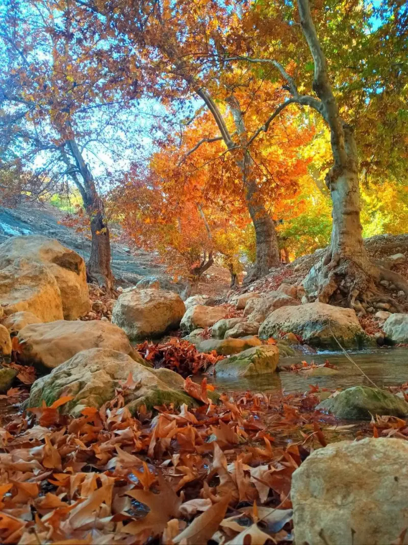 روستای کلهو - تصویر 3