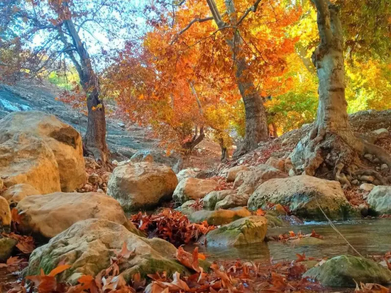 روستای کلهو - تصویر 3