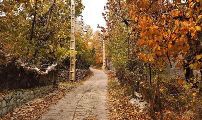 روستای افجه - تصویر 4