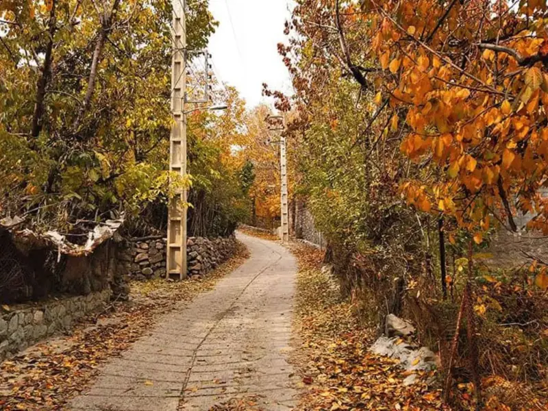 روستای افجه - تصویر 4
