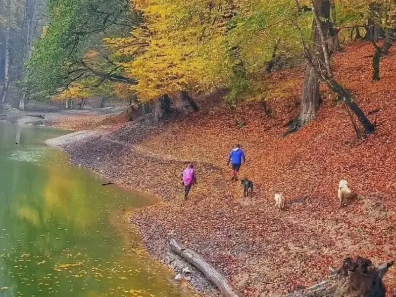 روستای چورت - تصویر 2