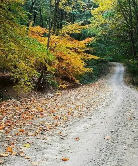 روستای دشت شاد، سمنان