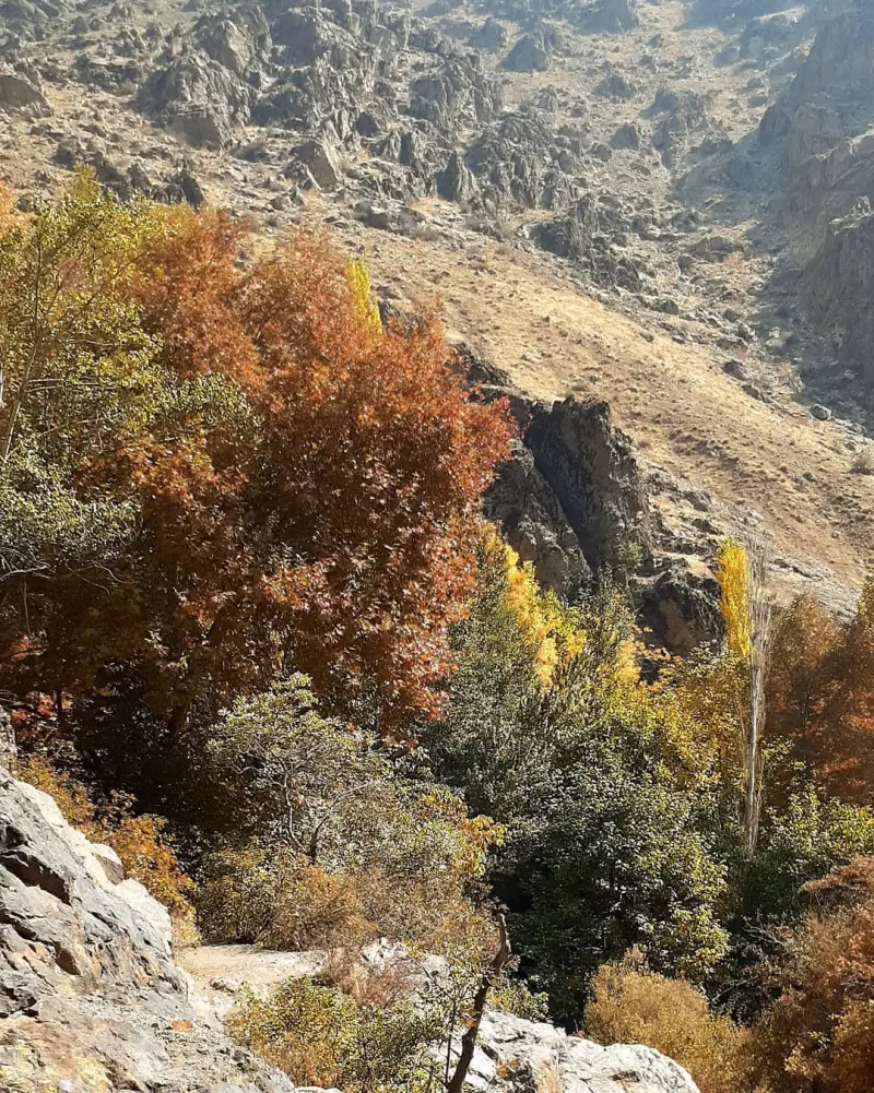 آبشار پسنگ - تصویر 3