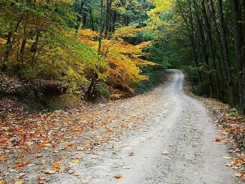 روستای دشت شاد