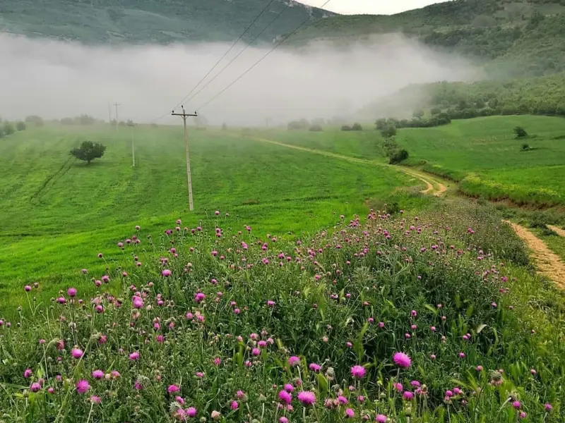 روستای استارم - تصویر 2