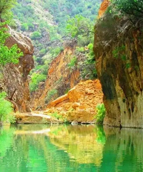 تنگ دم اسب، فارس