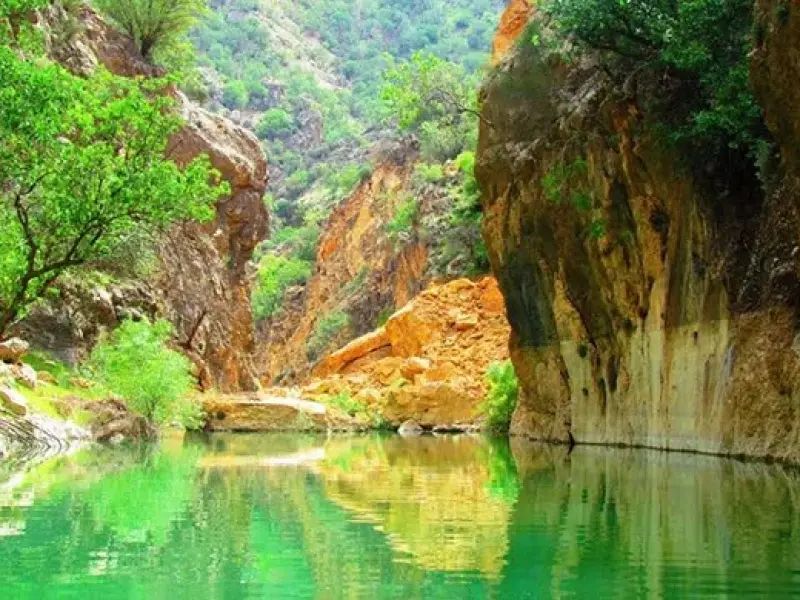 تنگ دم اسب