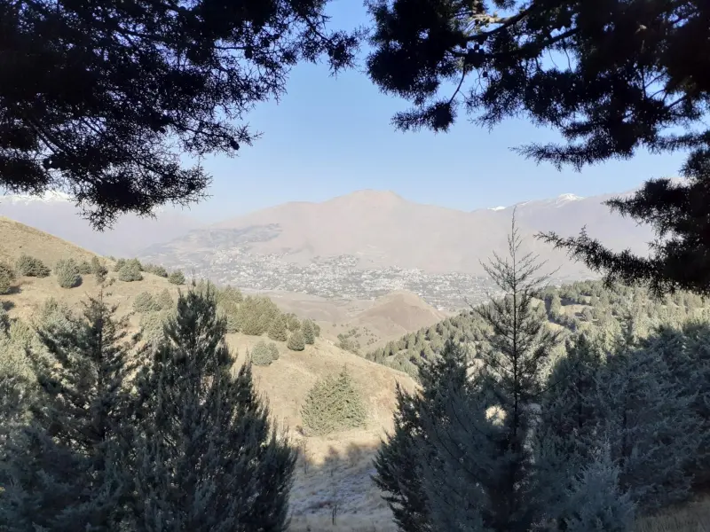 پارک جنگلی تلو